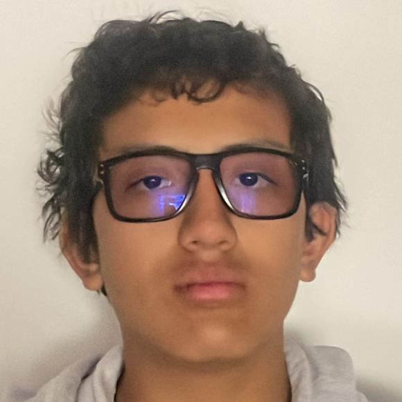 User Image