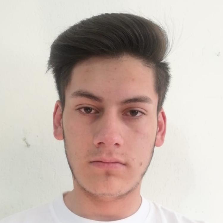 User Image