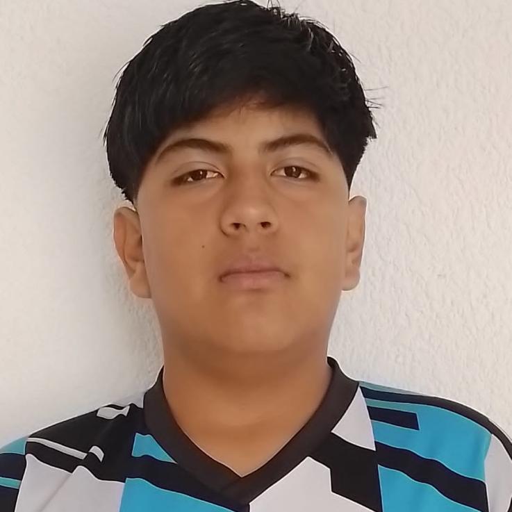 User Image
